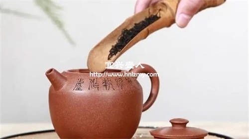 紫砂壺可以泡不同的普洱生茶嗎