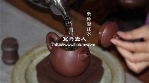 普洱茶沖泡