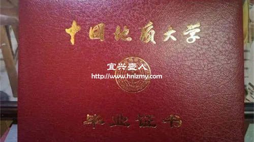 丁亦琴學(xué)歷證書(shū)